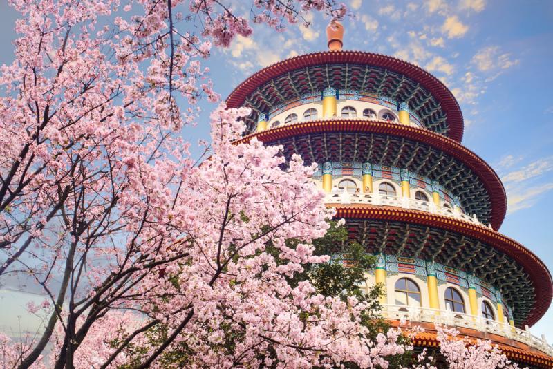 tour-dai-loan-5n5d-cao-hung-dai-trung-dai-bac